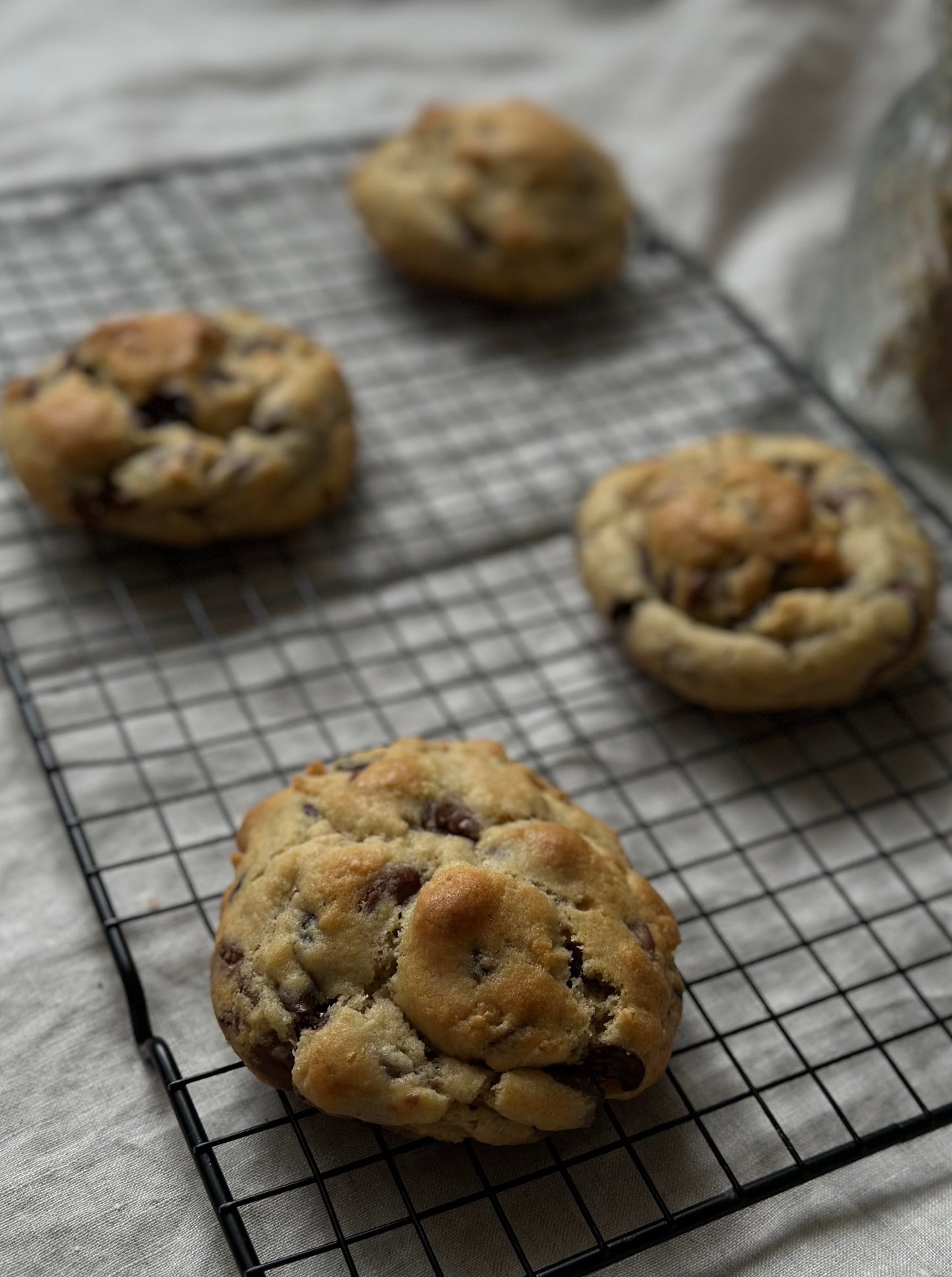 Chocolate Chip Cookie